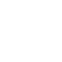 X  - 